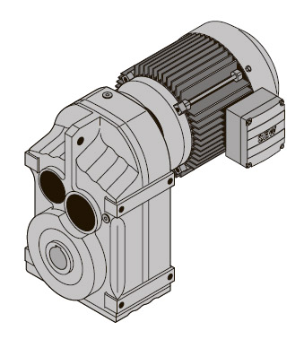 FV